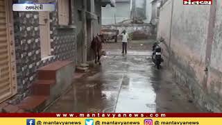 Amreli: બગસરામાં ધીમી ધારે મેઘાની મહેર શરૂ - Mantavya News
