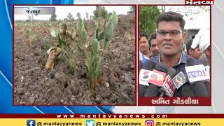 Jetpur: ખેડૂતોએ મૃત પાકનું બેસણું યોજ્યું - Mantavya News