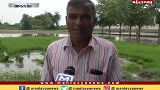 સાંબરકાંઠામાં વરસાદ ન પડતા ખેડૂતો ચિંતત - Mantavya News