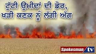 Wheat crop in Punjab catches fire