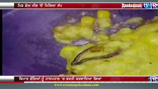 Snake found in Mid Day Meal at Faridabad