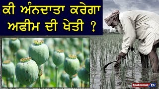 Dharamvir gandhi : ਕੀ ਅੰਨਦਾਤਾ ਕਰੇਗਾ Opium farming ?