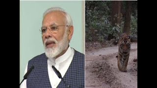 India with 3000 tigers, is one of the safest habitats in the world: PM Modi