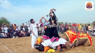 Dj Wala Gano Laga Re Shaadi Ko || डी जे वाला गानो लगा शादी को || Rajasthani Sekhawati || Maina