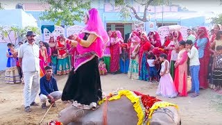 Dj Wala Gano Laga Re Shaadi Ko || डी जे वाला गानो लगा शादी को || Rajasthani Sekhawati || Maina