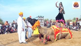 New Dj Rasiya || अगर मगर मत बोल - Agar Magar Mat Bol || Rajasthani sekhawati
