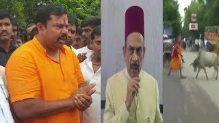 Raja Singh Ne Lagaya Home Minister Par Ilzaam | Kaha Hoo Raha Hain Gau Rakshak Par Zulm |