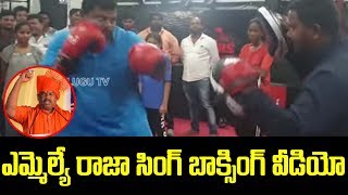 BJP MLA Raja Singh Boxing Training | Bharatiya Janatha Party | Top Telugu TV