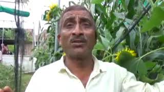 7 aug n 7 Appeal to farmers to do natural farming