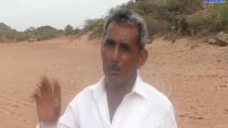 Kutch| Large grass fodder will be planted by water | ABTAK MEDIA