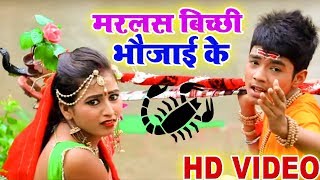 मरलस बिच्छी भौजाई के - Ankit Upadhya - Marlas Bicchi Bhaujai Ke  - HD BOL BAM VIDEO
