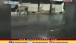સુરેન્દ્રનગર - ધ્રાંગધ્રા, લીંબડી સહિતમાં વરસાદ