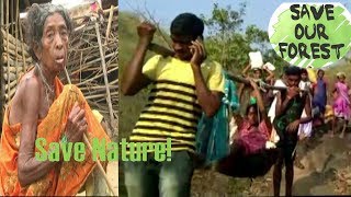 Forest Tribals Life Risk | Tribal Public and Environmental Health | Online Entertainment