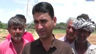 Kutch| Begin to grow good quality grass from sewer water | ABTAK MEDIA