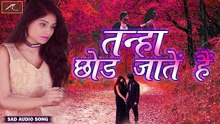 2018 - 2019 का दिल को छू जाने वाला बेहद दर्द भरा प्रेम गीत - तन्हा छोड़ जाते है - Hindi Sad Songs