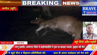 हाईटेंशन लाईन का तार टूटने से हुई गाय की मौत | #BRAVE_NEWS_LIVE TV
