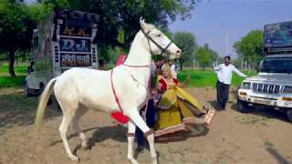 Dj Wala Gano Laga Re Shaadi Ko || डी जे वाला गानो लगा शादी को || Vid Evolution Rajasthani
