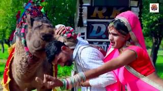 New Dj Rasiya Video Song || बचाइले मेरी ससुलिया - bachaile Meri sasuliya || Rajasthani sekhawati