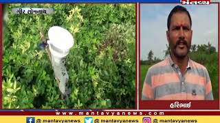 Gir Somnath: ખેડૂતે કરી ઓર્ગેનિક ખેતી