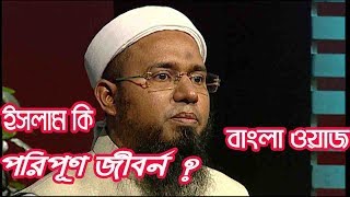ইসলাম কি পরিপূর্ণ জীবন বিধান ? । Allama Rafiq Bin Saydee Bangla Waz 2018 | Bangla Waz