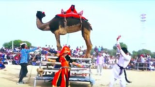 Latest rajasthani Video || Bolo Bolo Bolo - बोलो बोलो बोलो || Vid Evolution Rajasthani