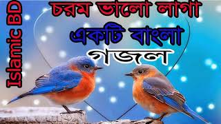 বাংলা গজল । বাছাইকৃত সেরা গজল । ভালো লাগবে ইনশাল্লাহ্ । Islamic Bangla Song 2018 | Islamic BD