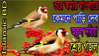 Best Bangla Gojol 2018 | Islamic Songeet | New Bangla Gojol | বাংলা গজল-কেমনে পাড়ি দেব | Islamic BD