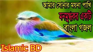 Best Bangla Gojol 2018 | নিউ বাংলা গজল । আমার  সোনার ময়না পাখি মনমুগ্ধকর একটি গজল । Islamic BD