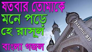 সুনামধন্য বাংলা গজল । হে প্রিয় রাসূল । ইসলামিক সংগীত । বাংলা গজল । Best Bangla Gojol | Islamic BD