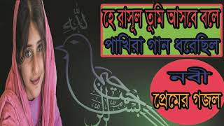Naat E Rasool Bangla | Islamic Gojol | নবী প্রেমের গজল । হে রাসূল তুমি আসবে বলে পাখিরা । Islamic BD