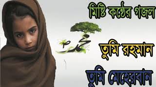 তুমি রহমান তুমি মেহেরবান । মিষ্টি কন্ঠের অসাধারন বাংলা গজল । Islamic Bangla Gojol 2019 | Islamic BD