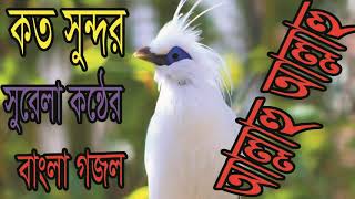 New Bangla Gojol | কত সুন্দর সুরেলা কন্ঠের বাংলা ইসলামিক সংগীত । বাংলা গজল ২০১৯ । Islamic BD