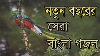 New Year Bangla Gojol | Heart Touching Islamic Song | নতুন বছরের সেরা বাংলা গজল । Islamic BD