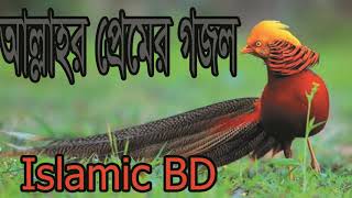 New Bangla Gojol 2019 | Best Islamic Song | আল্লাহর প্রেমের গজল । সবাই গজলটি শুনুন । Islamic BD