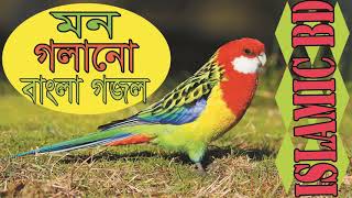 Very Popular Bangla Gojol | Islamic Bangla Song 2019 | Bangla Hamd Naat | বাংলা গজল । Islamic BD