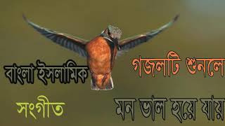 নতুন এই গজলটি শুনলে মন ভাল হয়ে যায় । Best Bangla Islamic Song 2019 | Famous Bangla Gojol-Islamic BD