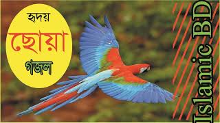 হৃদয় ছোয়া বাংলা গজল । নতুন বছরের নতুন ইসলামিক গান । Best Islamic Song | Bangla Gojol | Islamic BD