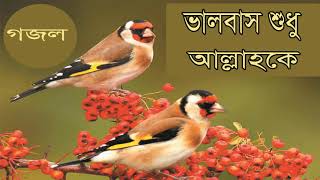 Very Nice And Sweet Islamic Bangla Gojol | Islamic Song 2019 | ভালবাস শুধু আল্লাহকে । Islamic BD