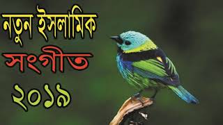 নতুন ইসলামিক সংগীত ২০১৯ । বছরের সেরা বাংলা গজল । Very Famous Bangla Gojol | Islamic Song-Islamic BD