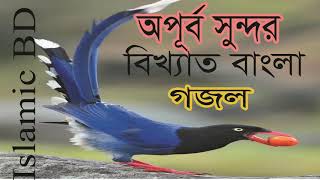 New Best Famous Bangla Gojol 2019 | অপূর্ব সুন্দর বিখ্যাত বাংলা গজল । New Gojol 2019 | Islamic BD