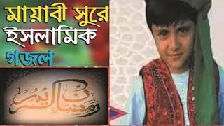 Best New Year Bangla Gojol 2019 | মায়াবী সুরে ইসলামিক গজল । মনমুগ্ধকর ইসলামিক সংগীত । Islamic BD
