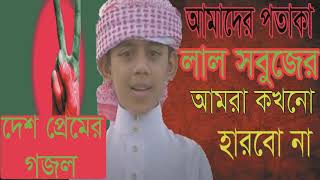 Best Bangla New Gojol 2019 | দেশে প্রেমের গজল । বাংলা ইসলামিক সংগীত । Islamic Bangla song-Islamic BD