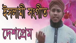 দেশকে ভালবাসলে গজলটি অবশ্যই শুনুন । বাংলা নিউ গজল ২০১৯ । Exclusive Islamic Bangla Gojol | Islamic BD