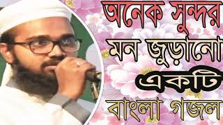 New Best Islamic Bangla Gojolo 2019 | অনেক সুন্দর মন জুড়ানো একটি ইসলামিক বাংলা সংগীত। Islamic BD