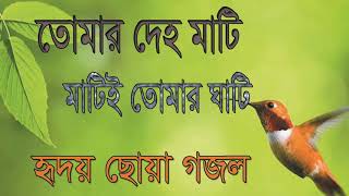 হৃদয় ছোয়া গজল । তোমার দেহ মাটি মাটিই তোমার ঘাটি । Islamic Bangla Songeet 2019 | Islamic BD