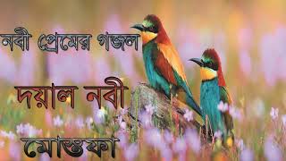 নবী প্রেমের গজল । দয়াল নবী মোস্তফা । Best Bangla Gojol 2019 | New Islamic Song | Islamic BD