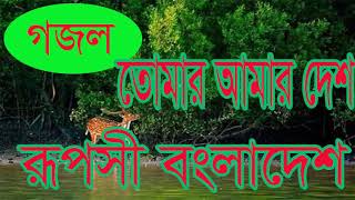 Bangla New Islamic Song 2019 | প্রশংসনীয় বাংলা গজল । রূপসী বাংলাদেশ । Islamic Song Best | Islamic BD