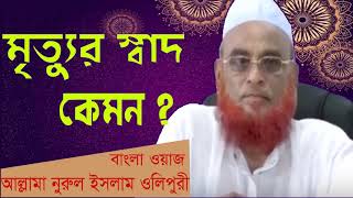 আল্লামা নুরুল ইসলাম ওলিপুরী বাংলা অস্থির ওয়াজ । Islamic Bangla Waz Mahfil New | Bangla Best Waz 2019