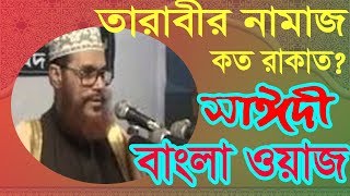 বাংলা ওয়াজ আল্লামা দেলাওয়ার হোসাইন সাঈদী । Islamic Waz Mahfil | Saidy Bangla Waz | রমজানের ওয়াজ