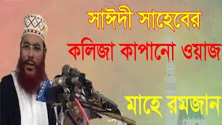 সাঈদী সাহেবের কলিজা কাপানো ওয়াজ । Allama Delwar Hossain Saidy Bangla Waz | Bangla Waz Mahfil 2019